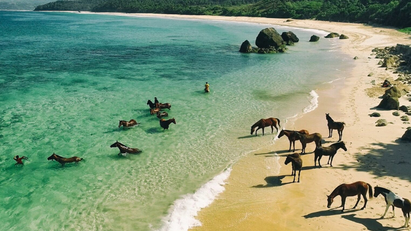 Menelusuri Keindahan Alam Sumba: Pantai dan Budaya yang Menawan